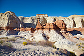 The Toadstools , Grand Staircase Escalante National Monument , Utah , U.S.A. , Amerika