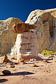 The Toadstools , Grand Staircase Escalante National Monument , Utah , U.S.A. , Amerika