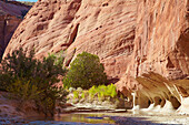 Paria River , Paria Canyon - Vermillion Cliffs Wilderness , White House Trailhead , Windows , Utah , U.S.A. , Amerika