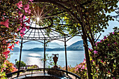 Villa Carlotta, Tremezzo, Como lake, Lombardy, Italy. Details of the villa's garden in bloom.