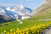 The Third House Cantoniera the Stelvio pass among the flowers. Bormio - Lombardy - Italian Alps