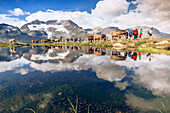 Hikers and cows on the shore of the lake where peaks and clouds are reflected Bugliet Valley Bernina Engadine Switzerland Europe