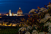 Firenze, tuscany, italy, europe