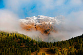 Europe, Dolomites, Italy, Trentino, Fiemme valley, peak Viezzena. Mountain in fog