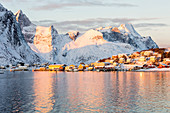 The pink colors of sunrise and snowy peaks are reflected in the cold sea Reine Bay Nordland Lofoten Islands Norway Europe