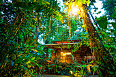 Puerto Viejo De Talamanaca, Limon, Costa Rica, Central America. Eco Lodge in the jungle with girl looking at the forest.