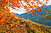 Autumnal landscape of the Valtellina mountains. Europe, Italy, Lombardy, Grosio