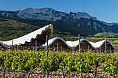 Ysios winery in Laguardia, Rioja alavesa, Basque Country, Spain.