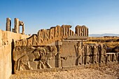 Iran, Persepolis City, Ruins of Persepolis,Relief at the Apadana Staircase, Apadana Palace.