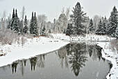 Junction Creek in early winter with fresh snow, Greater Sudbury, Ontario, Canada.