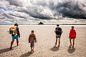 Guided tour to cross Mont Saint Michel bay during low tide (department of Manche, region of Normandie, France).