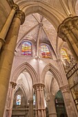 Detail of vault of Cathedral of Our Lady of Grace and Saint Julian of Cuenca. Castilla-La Mancha, Spain.