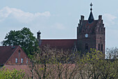 Gothic village church, church tower with stork in birds nest, Weißstorch, Linum, Germany, Brandenburg