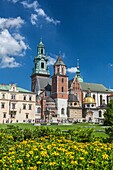 Poland, Krakow City, Wawel Royal Castle (W. H. ).