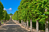 Villandry, Castle and gardens, Château de Villandry, Indre et Loire,Touraine, Loire Valley, UNESCO World Heritage Site, France.