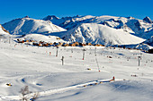 France, Isere, L'Alpe d'Huez, ski resort, dog sledding