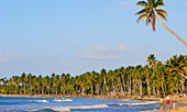 Dominican Republic, Samana province, Las Terrenas beach