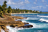 Dominican Republic, Samana province, El Frances, coast