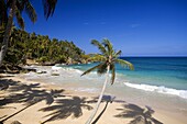 Dominican Republic, North coast, Rio San Juan, Playa Grande beach