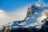 France, Haute Savoie, Mont Blanc Country, Sixt nature reserve