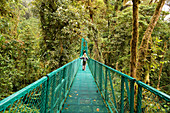 Costa Rica, Puntarenas Province, Santa Elena, canopy tour