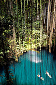 Mexico, Yucatan State, Eco-Archaeological Park, Cenote Ik-Kil or Sacred Blue Cenote