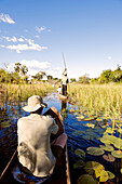 Botswana, North-west District, the Okavango Delta listed as World Heritage by UNESCO, crossing the marshes in mokoro, pirogue