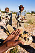Botswana, North-west district, Okavango Delta listed as World Heritage by UNESCO, walking safari, the result of the baobab