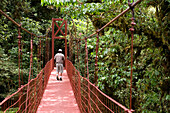 Costa Rica, Puntarenas Province, Monteverde, Reserva Biologica del Bosque Nuboso, Cloud Forest Biological Reserve