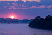 France, Loir et Cher, Loire Valley listed as World Heritage by UNESCO, sunrise to Chaumont-sur-Loire