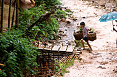 Vietnam, Hoa Binh province, Ban Ko Muong village of Tay ethnic white boy carrying a palanche