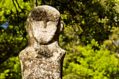 France, Corse du Sud, Tavera, statue menhir dated from the second millenium, 2,42 meters height