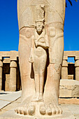 Egypt, Upper Egypt, Upper Egypt, Nile Valley, Luxor, Karnak listed as World Heritage by UNESCO, temple dedicated to Amon God, First Courtyard, Ramses II statue with his wife between legs