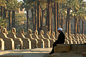 Egypt, Upper Egypt, Nile Valley, Luxor Temple listed as World Heritage by UNESCO, sphinx alley