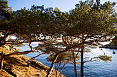 France, Bouches du Rhone, the Cote Bleue (the Blue Coast), the Mejean Calanque