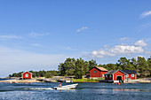 Canins close to the sea on the island of Moeja in Stockholm archipelago, Uppland, Stockholms land, South Sweden, Sweden, Scandinavia, Northern Europe