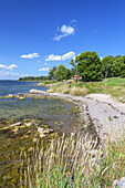 Strand auf der Insel Lidö, Nördlicher Schärengarten vor Stockholm, Stockholms skärgård, Stockholms län, Uppland, Skandinavien, Südschweden, Schweden, Nordeuropa, Europa