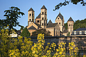 Abteikirche Laacher Münster vom Kloster Maria Laach, Vulkaneifel, Eifel, Rheinland-Pfalz, Deutschland, Europa