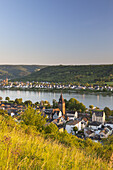 Blick auf Braubach am Rhein am anderen Rheinufer die Ortschaft Spay, Oberes Mittelrheintal, Rheinland-Pfalz, Deutschland, Europa