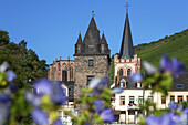 Blick auf die Kirche St. Peter und die Stadtbefestigung von Bacharach am Rhein, Oberes Mittelrheintal, Rheinland-Pfalz, Deutschland, Europa