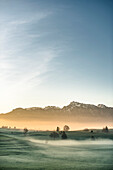 Close to Lake Hopfensee, Sunrise, Allgaeu, Bavaria, Germany, Mountains, Snow, mist, Lake
