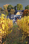 Blick auf Bacharach am Rhein, Oberes Mittelrheintal, Rheinland-Pfalz, Deutschland, Europa