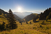 View from Wallberg to the Austrian Alps, Bavaria, Germany