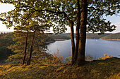 Rur reservoir near Heimbach, Eifelsteig hiking trail, Eifel national park, Eifel, North Rhine-Westphalia, Germany