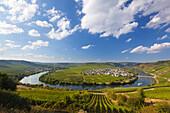 Mosel river bend near Trittenheim, Mosel, Rhineland-Palatinate, Germany
