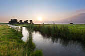 Tidal creek at the salt marsh near Pilsum lighthouse, near Greetsiel, East Friesland, Lower Saxony, Germany