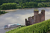 Ausflugsschiff auf dem Rhein an der Burgruine Ehrenfels, bei Rüdesheim, Rheingau, Rhein, Hessen, Deutschland