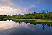 Pond in nature reserve Rotes Moor, Rhoen, Hesse, Germany