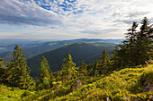 Blick vom Belchen über die Höhenzüge, Südlicher Schwarzwald, Baden-Württemberg, Deutschland