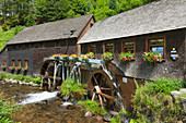 Hexenlochmühle, Südlicher Schwarzwald, Baden-Württemberg, Deutschland